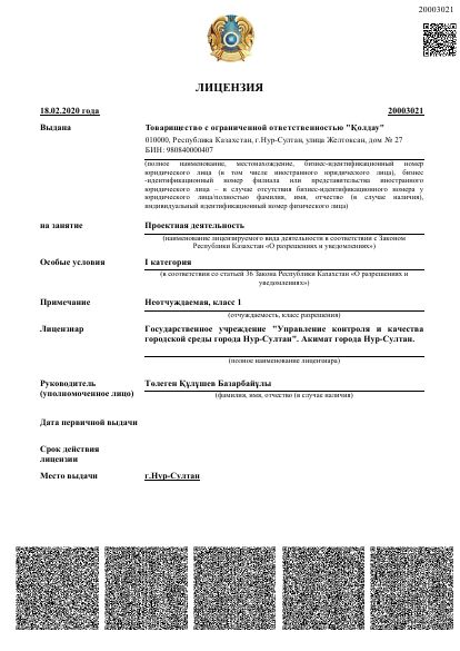 Жобалау қызметі (I санат)